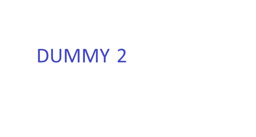 Dummy 2