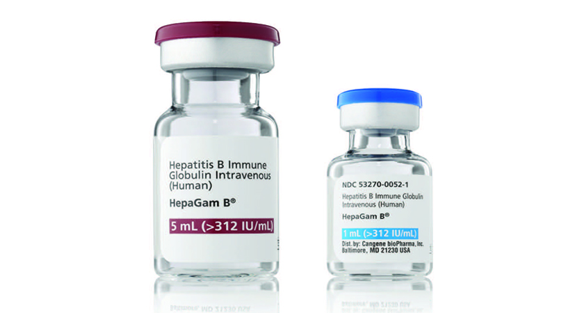 HEPAGAM B 1560 IU/5 mL IM/IV Enjeksiyon/İnfüzyon İçin Çözelti İçeren Flakon